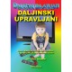 Daljinski upravljani