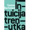 INTUICIJA TRENUTKA