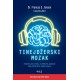 TINEJDŽERSKI MOZAK