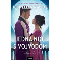 JEDNA NOĆ S VOJVODOM