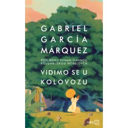 VIDIMO SE U KOLOVOZU