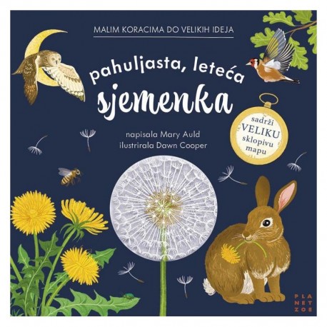PAHULJASTA, LETEĆA SJEMENKA