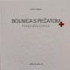 BOLNICA S PEČATOM, Franjevačka bolnica "Dr. fra Mato Nikolić" Nova Bila
