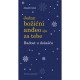 JEDAN BOŽIĆNI ANĐEO SJA ZA TEBE