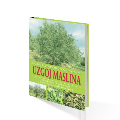 REZIDBA I UZGOJNI OBLICI ZA SUVREMENI UZGOJ MASLINA