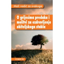 MALI VODIČ ZA SVAKOGA - O GRIJESIMA PREDAKA