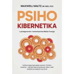 PSIHOKIBERNETIKJA