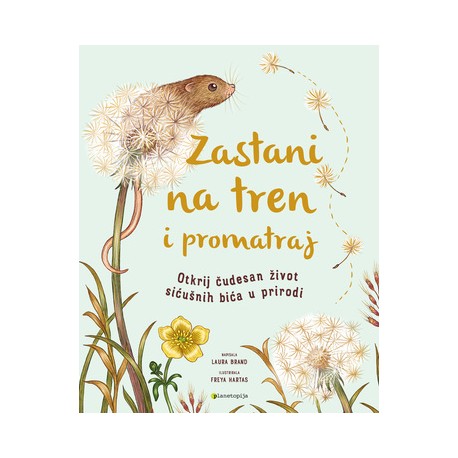 ZASTANI NA TREN I PROMATRAJ