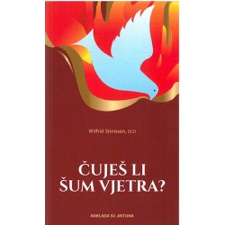 ČUJEŠ LI ŠUM VJETRA?