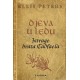 DJEVA U LEDU