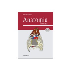 ANATOMIA HUMANA