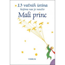 13 VAŽNIH ISTINA KOJIMA NAS JE NAUČIO MALI PRINC