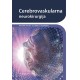 CEREBROVASKULARNA NEUROKIRURGIJA