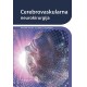 Cerebrovaskularna neurokirurgija