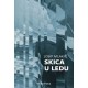 SKICA U LEDU