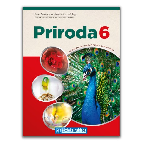 PRIRODA 6