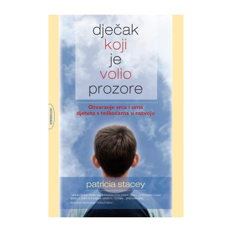 Dječak koji je volio prozore