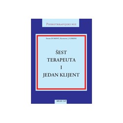 ŠEST TERAPEUTA I JEDAN KLIJENT