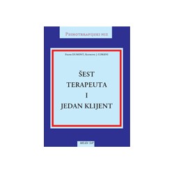 ŠEST TERAPEUTA I JEDAN KLIJENT