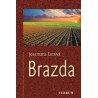 BRAZDA