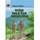 DJEČAK KOJI JE ŽELIO POSTATI PČELA
