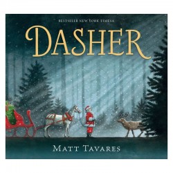 DASHER