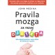 PRAVILA MOZGA ZA RAZVOJ DJETETA