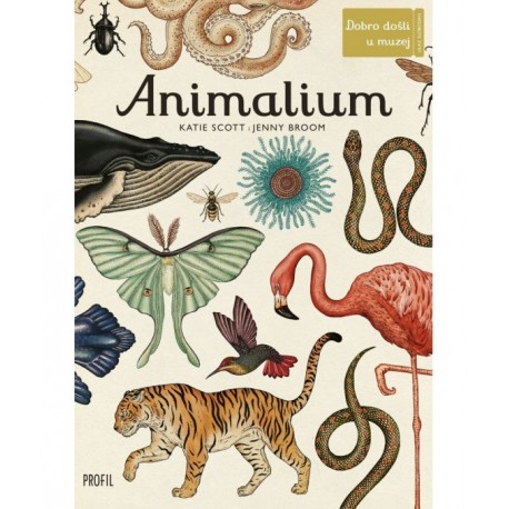 ANIMALIUM