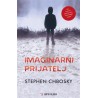 IMAGINARNI PRIJATELJ
