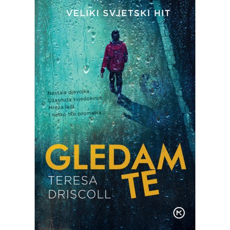 GLEDAM TE